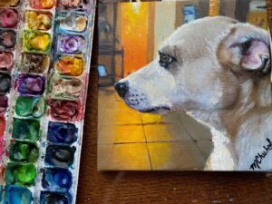 Portrait of Chihuahua with golden light by artist Maryanne Chisholm