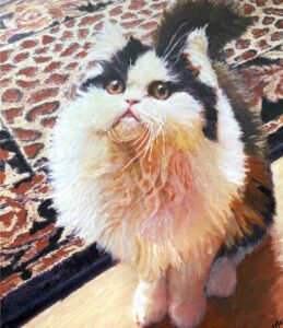 Portrait of Oliver the persian cat on a rug by artist Maryanne Chisholm