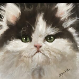 Portrait of Oliver the Persian Cat by artist Maryanne Chisholm