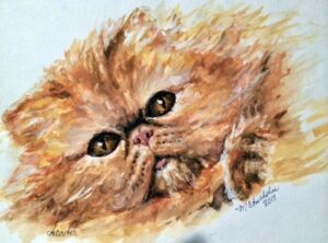 Portrait of Scooter - my Persian - by Maryanne Chisholm