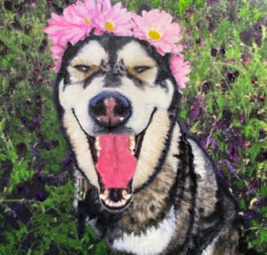 Portrait of Daisy, the Alaskan Husky, with her wreath of flowers by artist Maryanne Chisholm