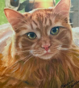 Portrait of an orange cat