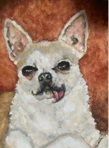 Portrait of a tan and white chihuahua with lolling tongue and terra cotta background