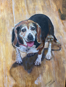 Portrait of an elderly beagle