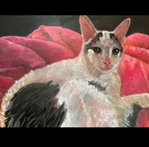 Portrait of an Oriental cat with pink blanket