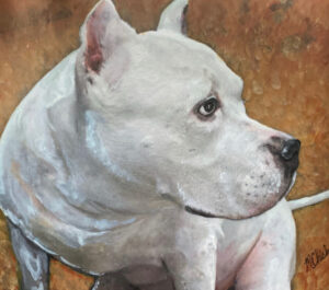 Portrait of a white Pitbull by artist Maryanne Chisholm