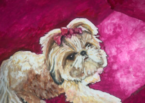 Portrait of a tan yorkie female dog with pink bow