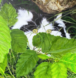 Portrait of Oliver the persian hiding in the foliage