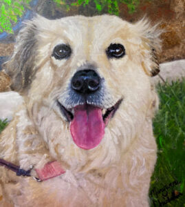 Portrait of a beautiful Golden Retriever