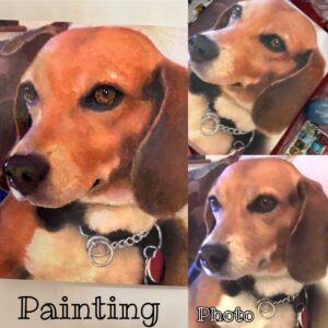 Portrait of Maggie the Beagle with source images