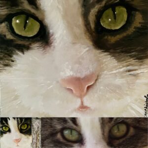 A close of of a cat, painted by Maryanne Chisholm