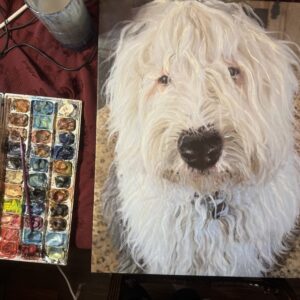 Portrait of a sheepdog