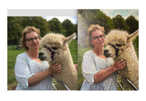 Portrait of a woman and her Llama
