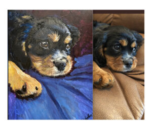 Portrait of a Burmese puppy