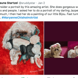 Maryanne Chisholm Fine Art & Portraits Positive client Reviews